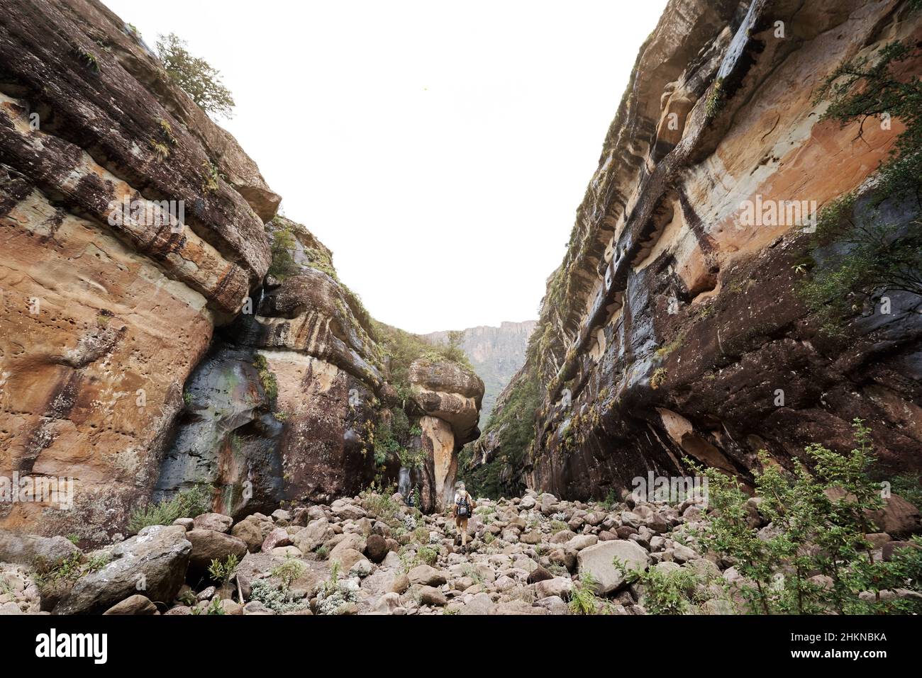 E così inizia il viaggio del giovane avventuriero Foto Stock