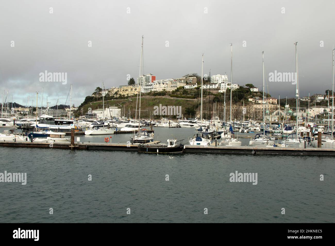 Porto di Torquay e Marina, Devon, Regno Unito Foto Stock