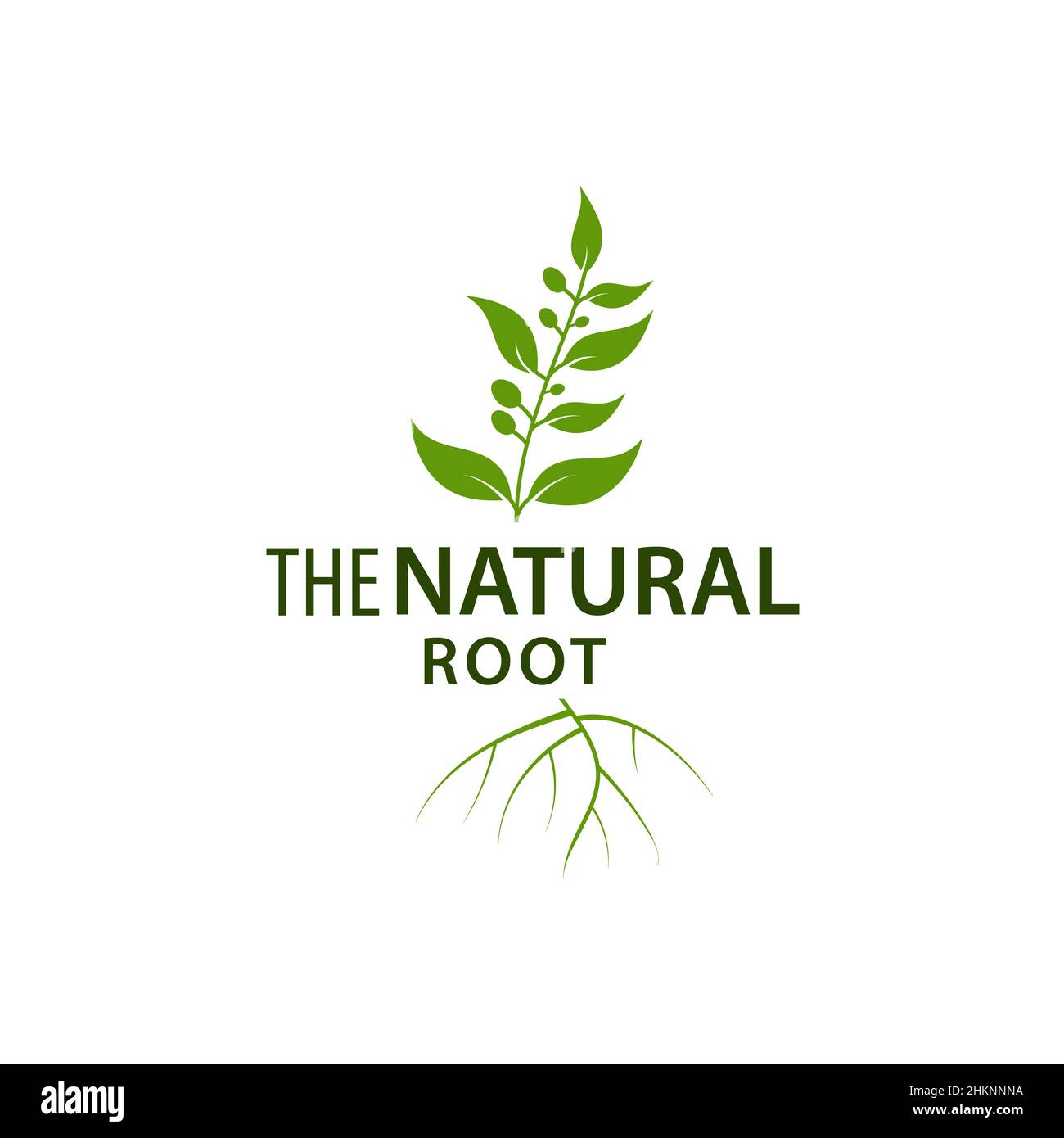 Logo della radice della foglia disegno di disegno vettoriale del modello ad albero naturale Illustrazione Vettoriale