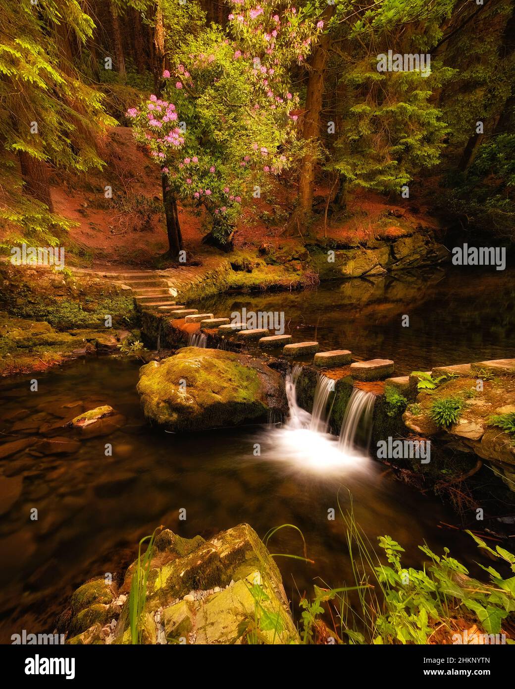 Torrenti di montagna pittoreschi e misteriosi d'Irlanda in autunno Foto Stock