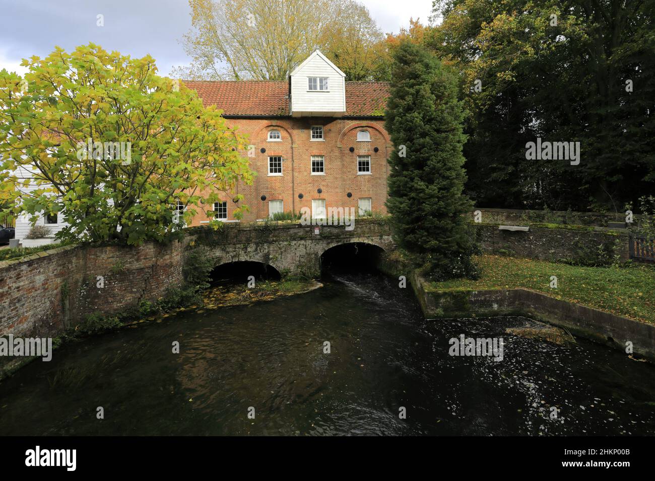 Vista di Narborough Mill, fiume Nar, villaggio di Narborough, Norfolk Nord, Inghilterra, REGNO UNITO Foto Stock