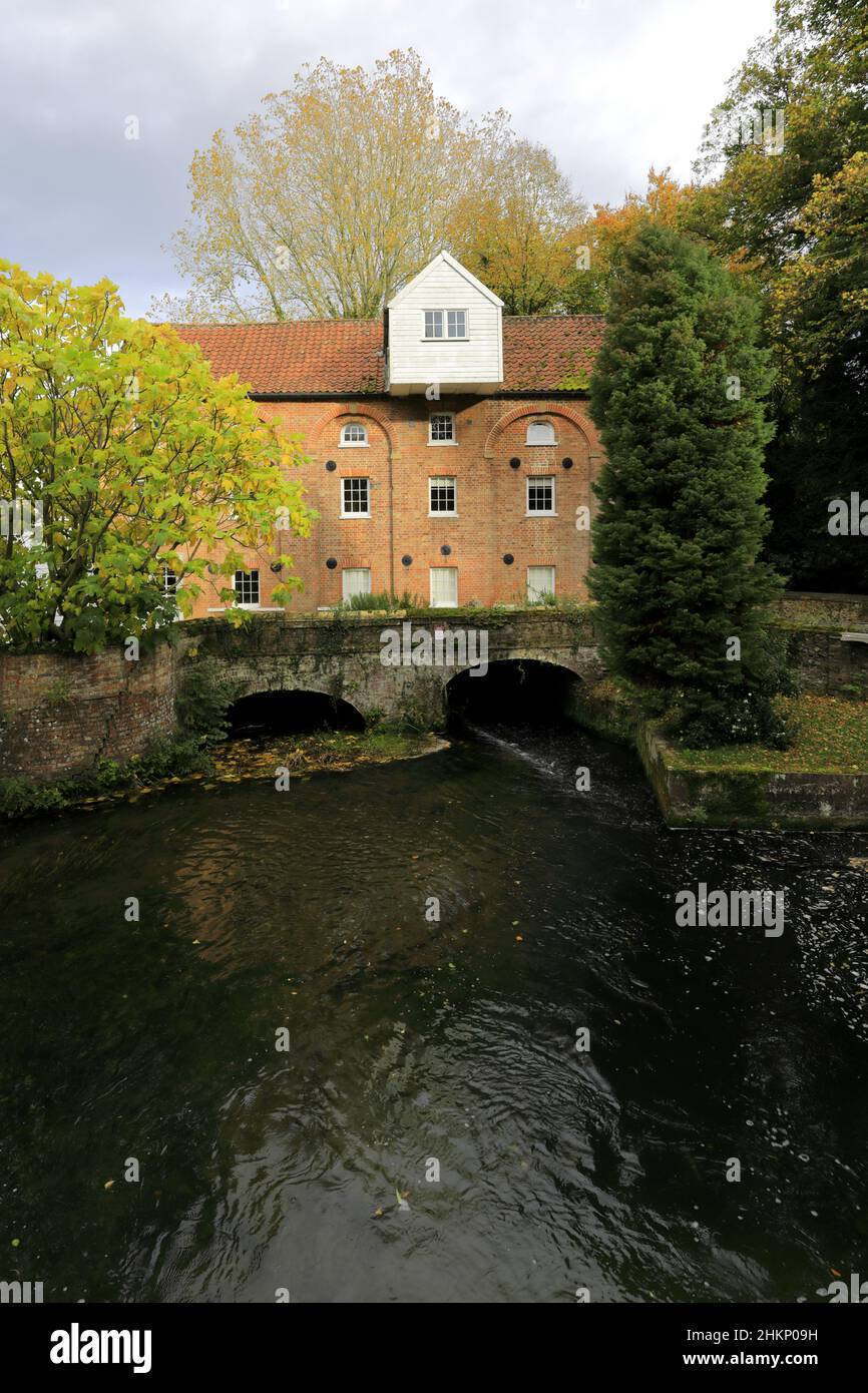 Vista di Narborough Mill, fiume Nar, villaggio di Narborough, Norfolk Nord, Inghilterra, REGNO UNITO Foto Stock