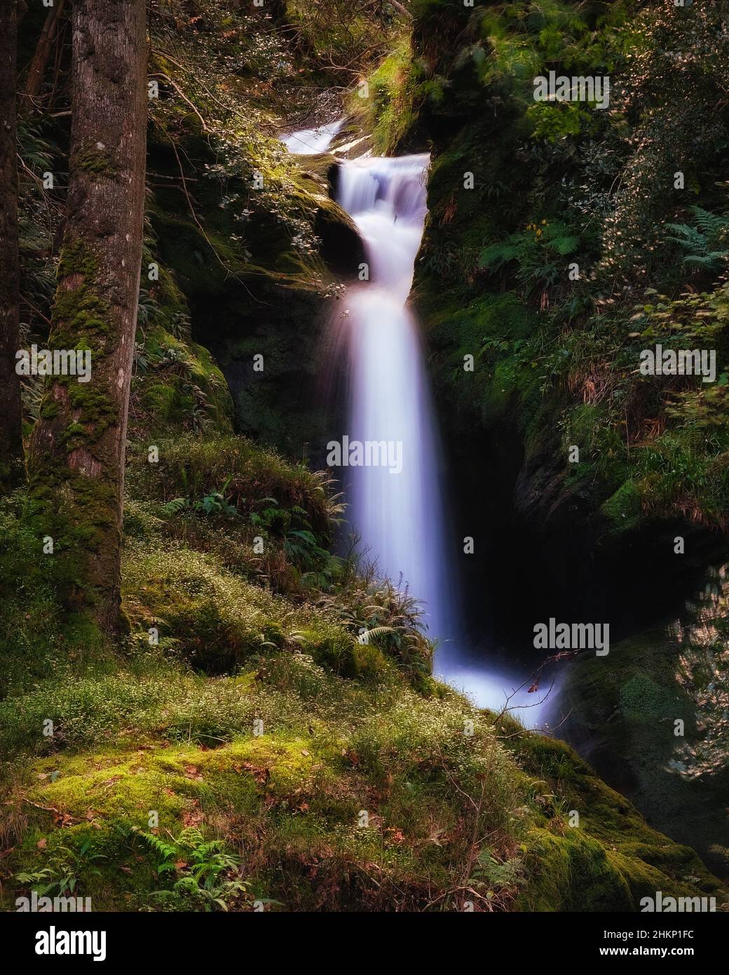 Panoramiche insenature di Glendalough sulle montagne di Wicklow Foto Stock