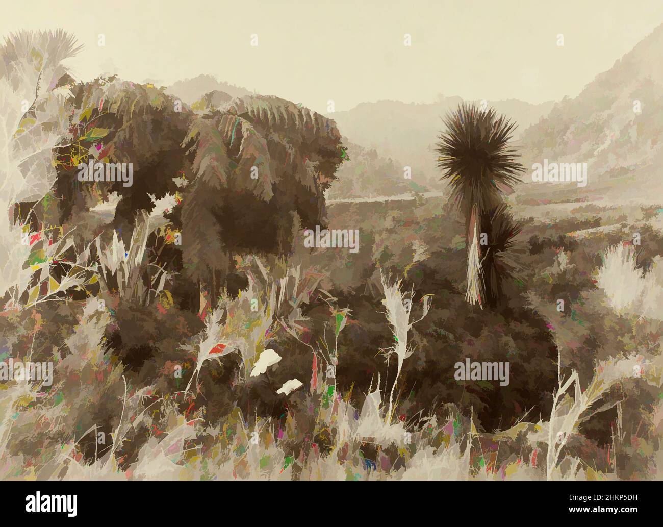 Arte ispirata da Wanganui (sic) River vicino Utapu - King Country, studio Burton Brothers, studio di fotografia, 1885, Dunedin, Fotografia in bianco e nero, opere classiche modernizzate da Artotop con un tocco di modernità. Forme, colore e valore, impatto visivo accattivante sulle emozioni artistiche attraverso la libertà delle opere d'arte in modo contemporaneo. Un messaggio senza tempo che persegue una nuova direzione selvaggiamente creativa. Artisti che si rivolgono al supporto digitale e creano l'NFT Artotop Foto Stock