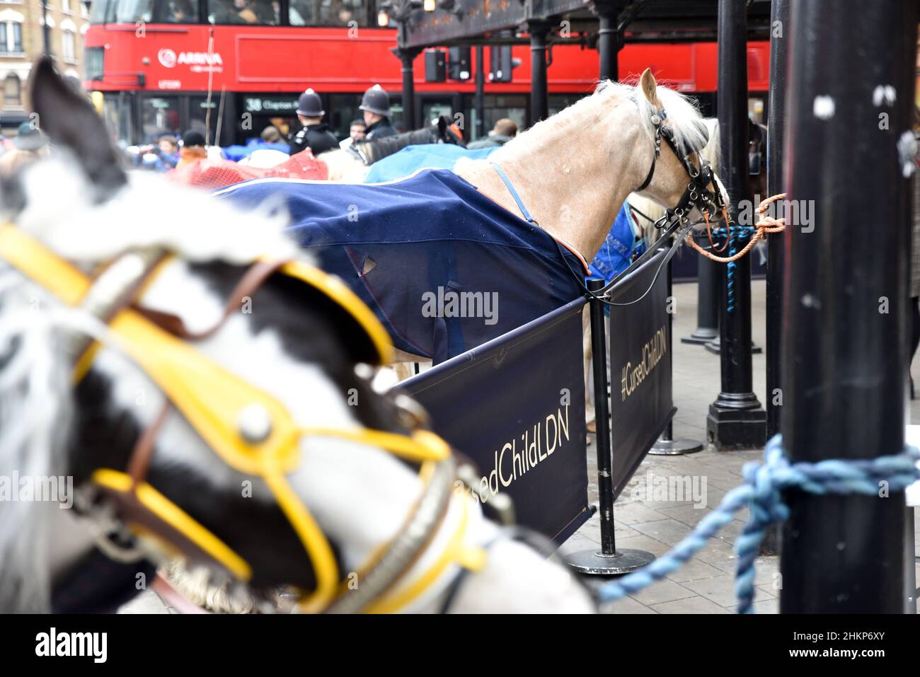 Cambridge Circus, Londra, Regno Unito. 5th febbraio 2022. I viaggiatori e i loro cavalli e carrozze si riuniscono a Cambridge Circus, Londra. Credit: Matthew Chattle/Alamy Live News Foto Stock