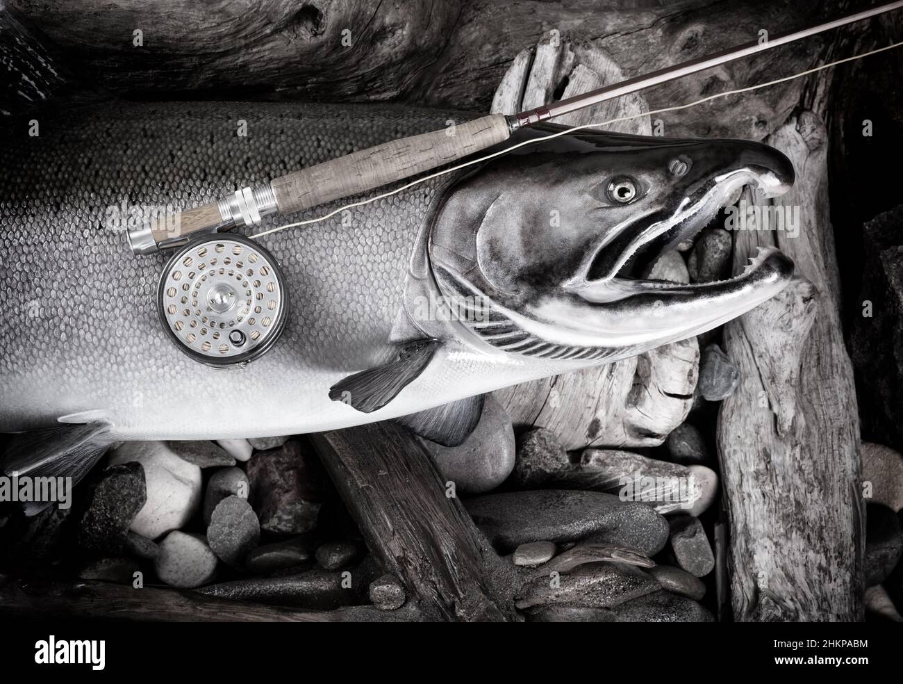 antica canna di mosca e bobina in cima a un grande salmone con pietre e legno di deriva sullo sfondo del fiume Foto Stock