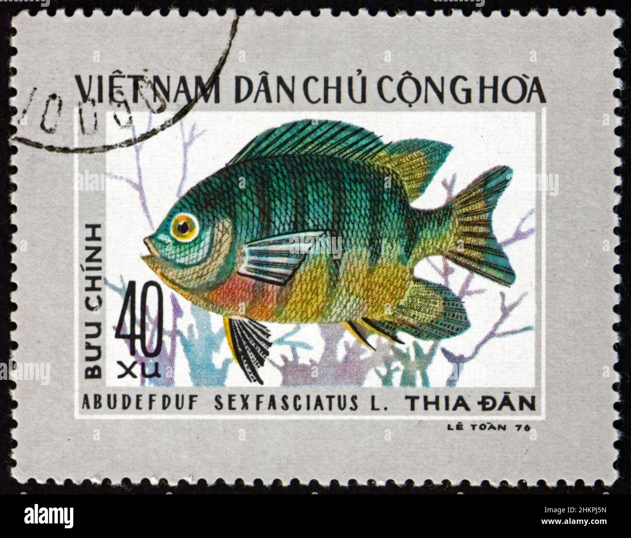 VIETNAM - CIRCA 1976: Un francobollo stampato in Vietnam mostra sergente a coda di forbice, abudefduf sexfasciatus, è un grande damselfish, circa 1976 Foto Stock