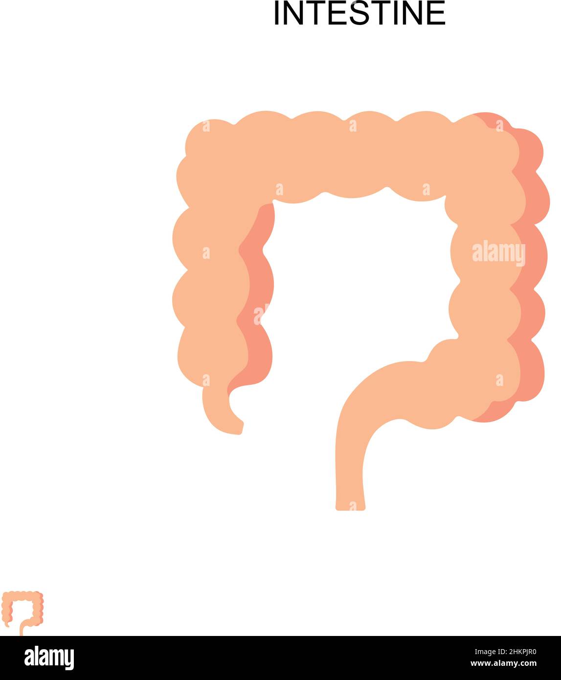 Icona vettore semplice dell'intestino. Modello di disegno del simbolo di illustrazione per l'elemento dell'interfaccia utente mobile Web. Illustrazione Vettoriale