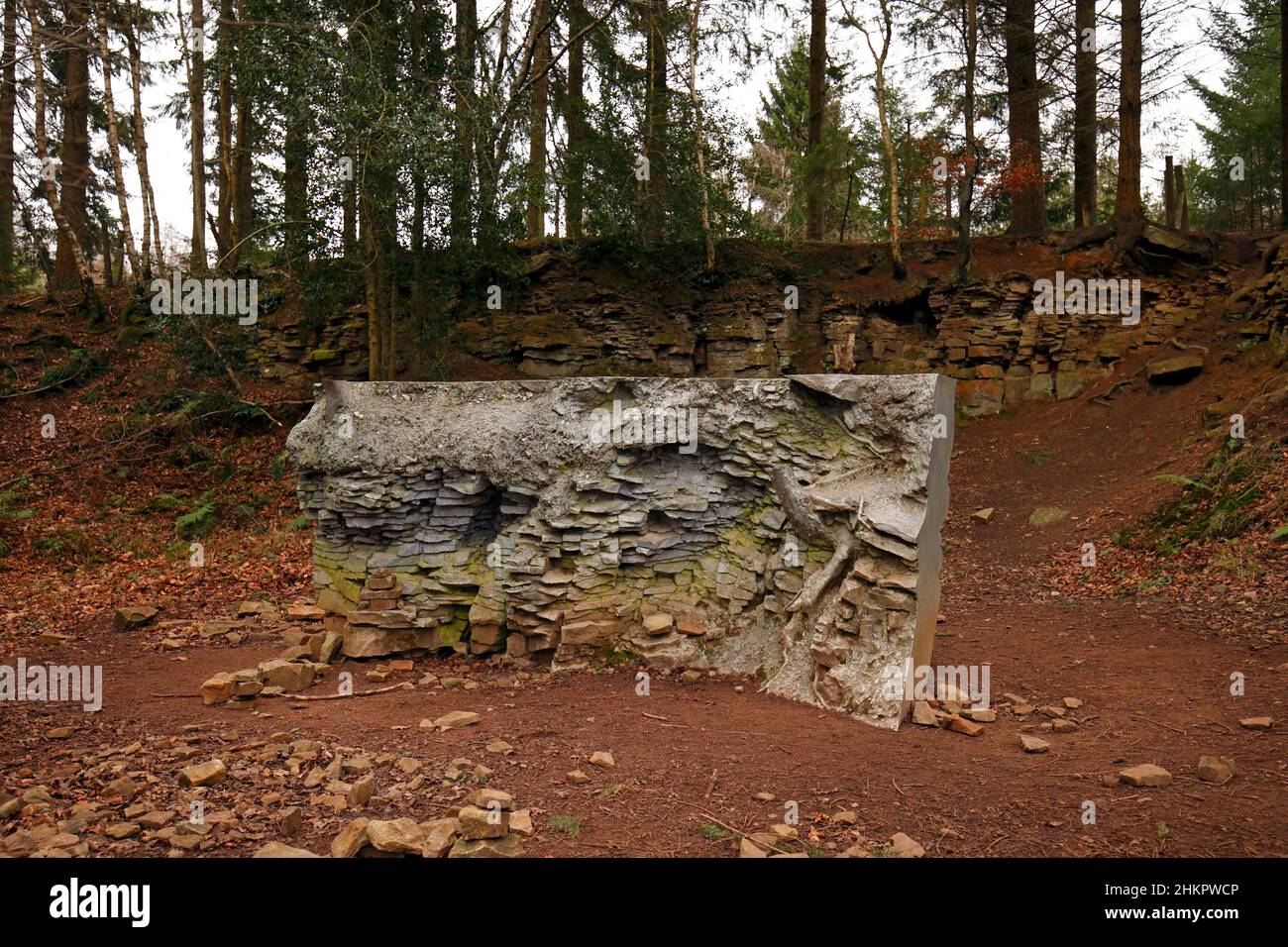 ECHO Annie Cattrell 2008. Un percorso forestale di Dean Sculpture mostra con sculture contemporanee permanenti e temporanee poste in tutto il bosco Foto Stock