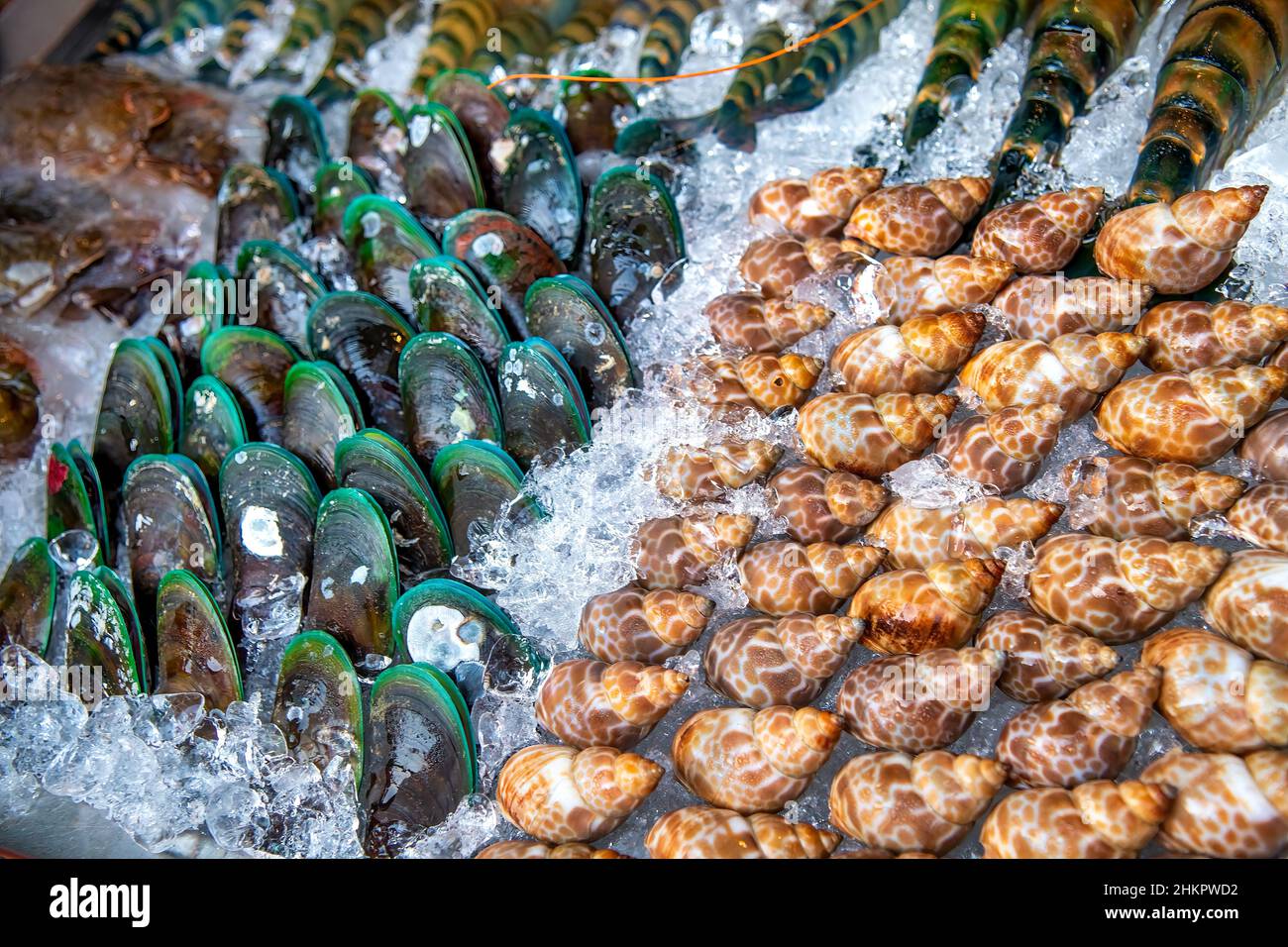 Pesce fresco e cozze in un mercato di strada in Thailandia Foto Stock