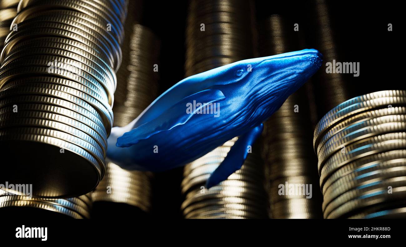 Cryptocurrency Whale titolare e acquirente con prezzi di borsa elevati Foto Stock