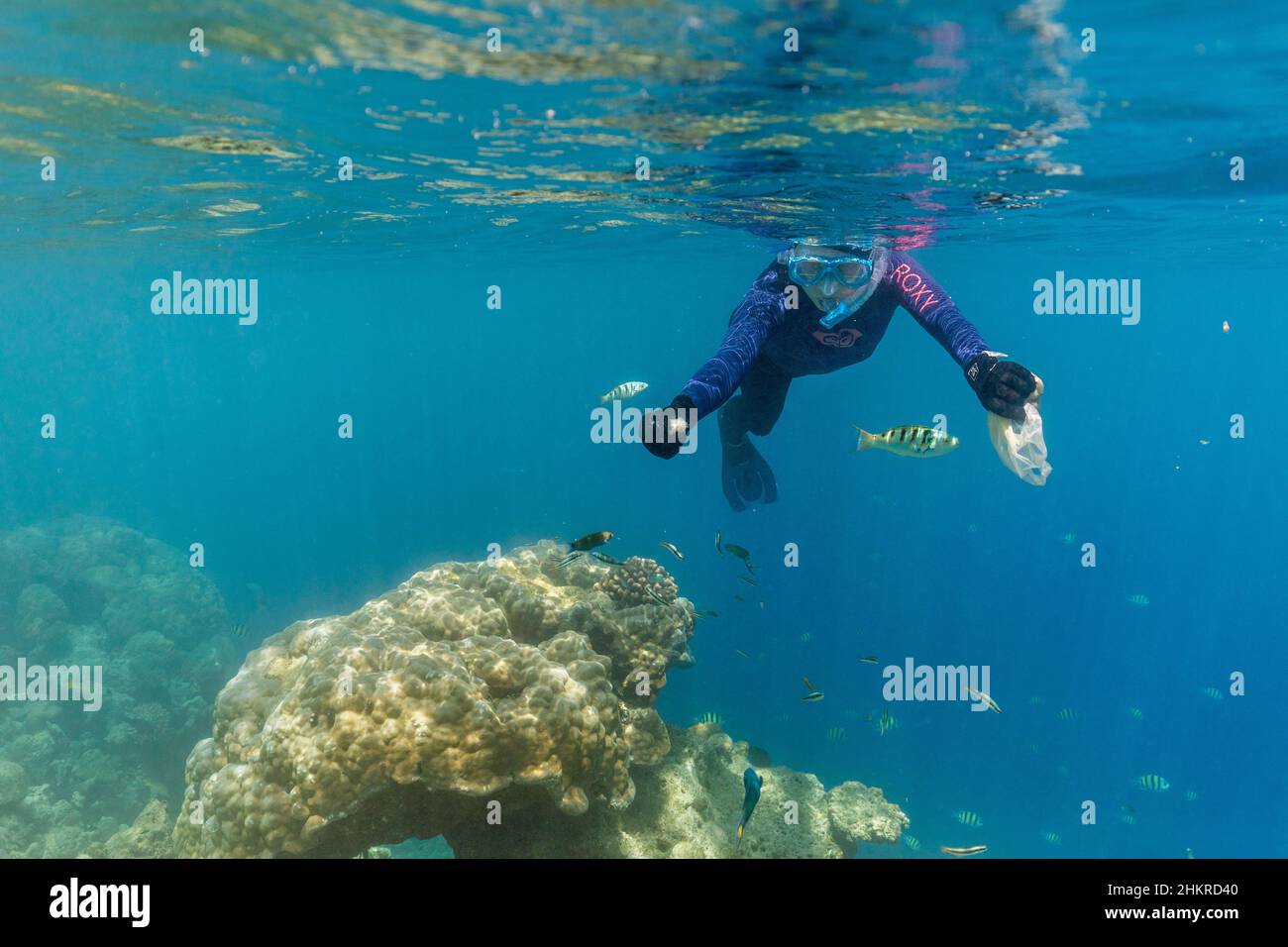 Snorkeler nutrire il pesce; Maldive Foto Stock