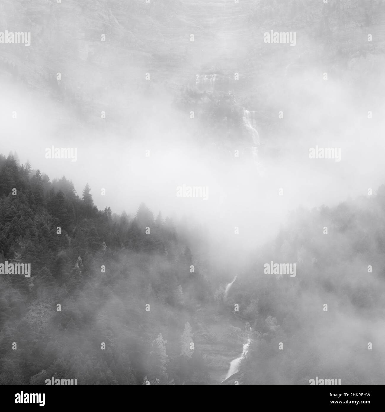Misty Autumnal tempo in Val di Pineta Foto Stock