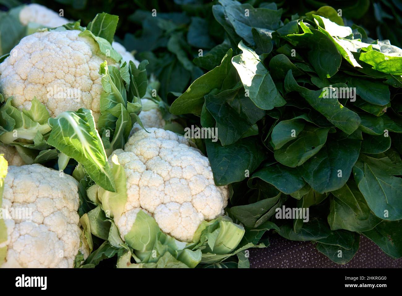 Telaio completo colpo di Cavolfiori e broccoli Foto Stock