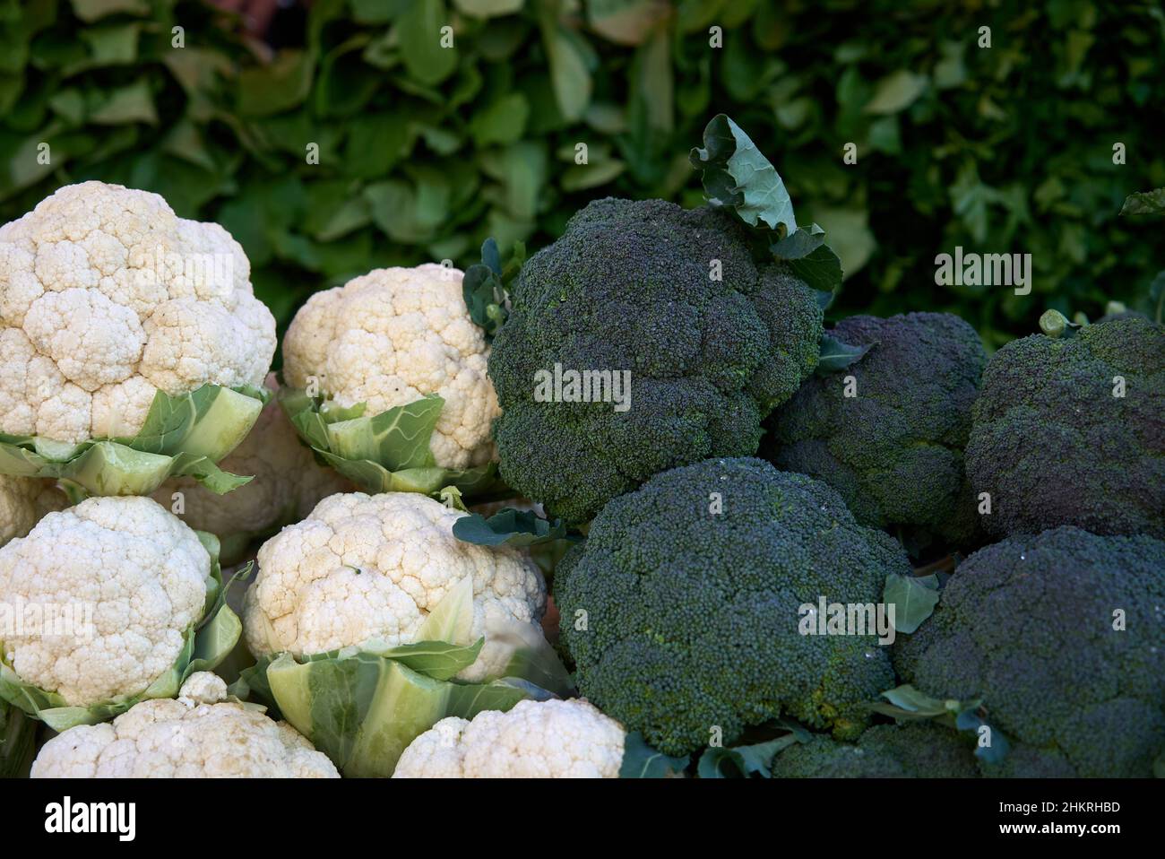 Telaio completo colpo di Cavolfiori e broccoli Foto Stock