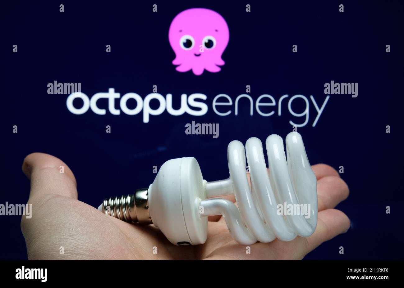 Fornitori di elettricità e gas OCTOPUS LOGO ENERGIA visto su sfondo sfocato e lampadina a risparmio energetico di fronte. Regno Unito, Stafford, 18 dicembre 2022 Foto Stock