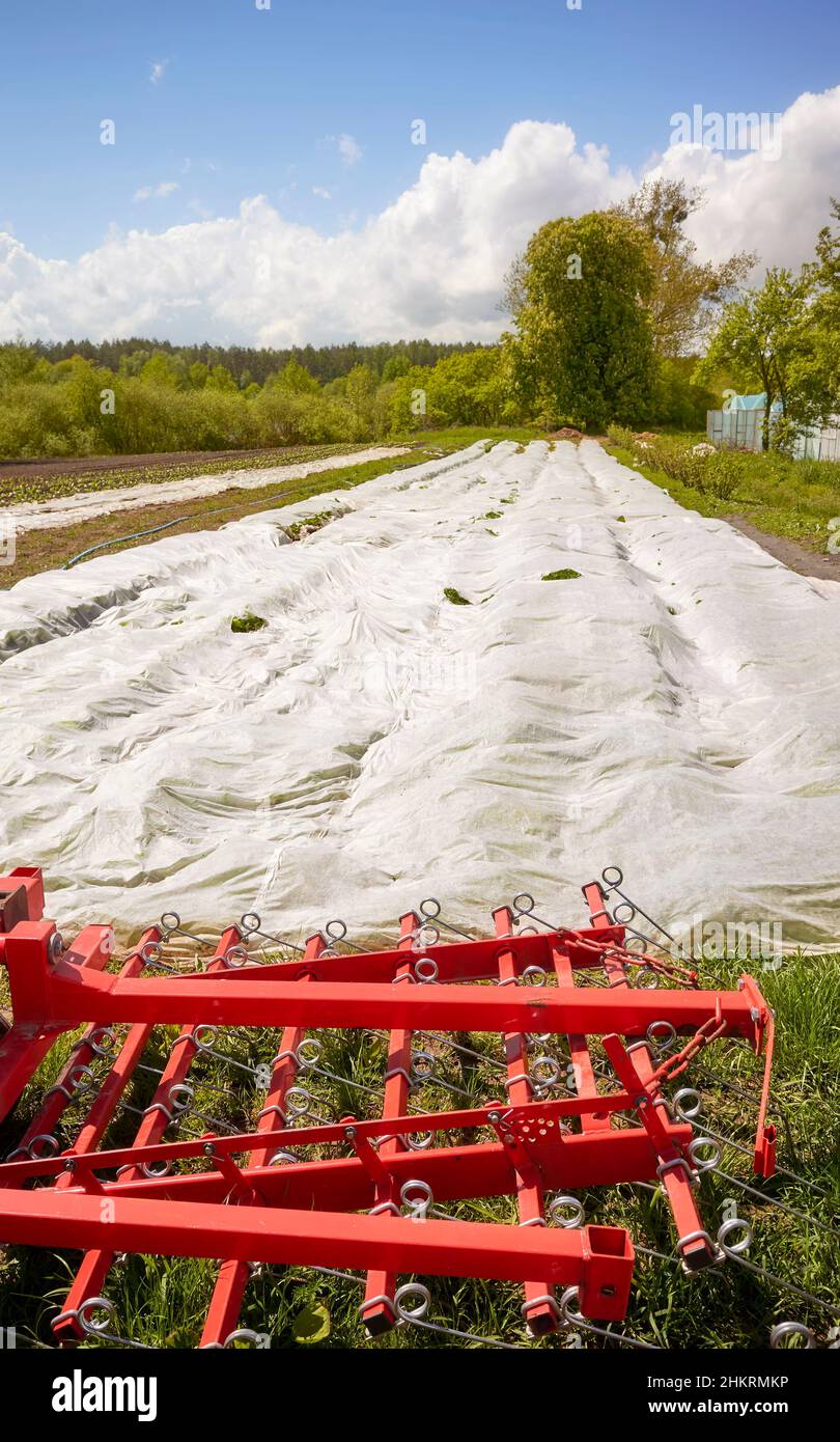 Eco fattoria con attrezzature agricole e non tessuto agrotestile campo di copertura, concentrarsi in primo piano. Foto Stock