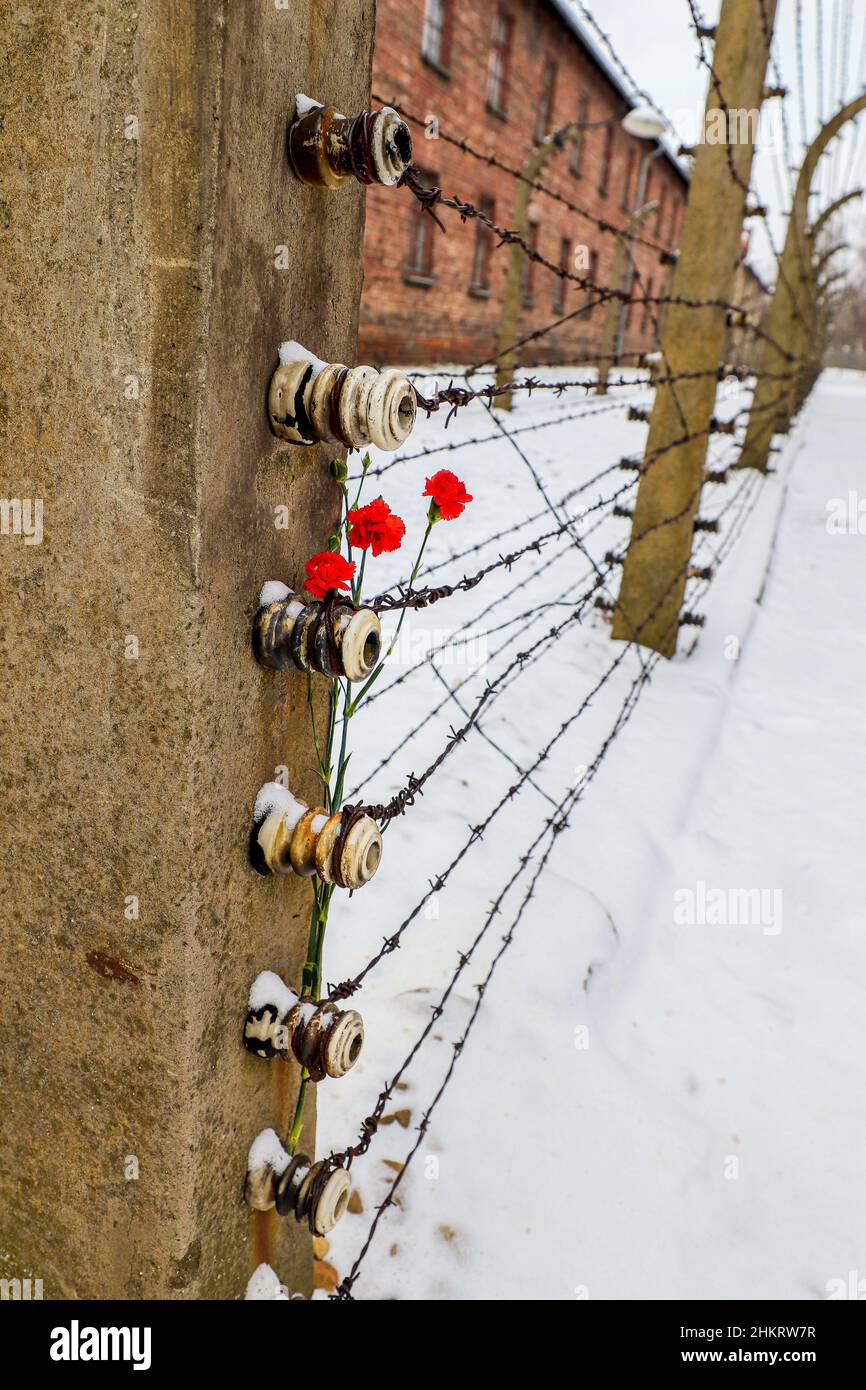 Auschwitz i, Polonia Foto Stock