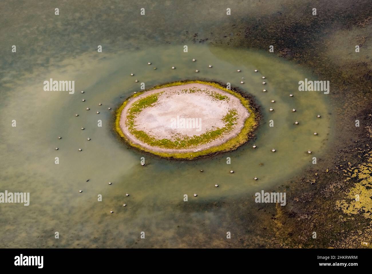 Vista aerea, Llacuna de sa Barcassa, isola con vista degli uccelli e acqua caratteristica, Alcúdia, Maiorca, Isole Baleari, Spagna, Es, Europa, aereo pho Foto Stock