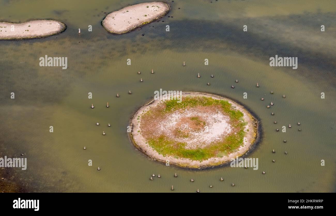 Vista aerea, Llacuna de sa Barcassa, isola con vista degli uccelli e acqua caratteristica, Alcúdia, Maiorca, Isole Baleari, Spagna, Es, Europa, aereo pho Foto Stock