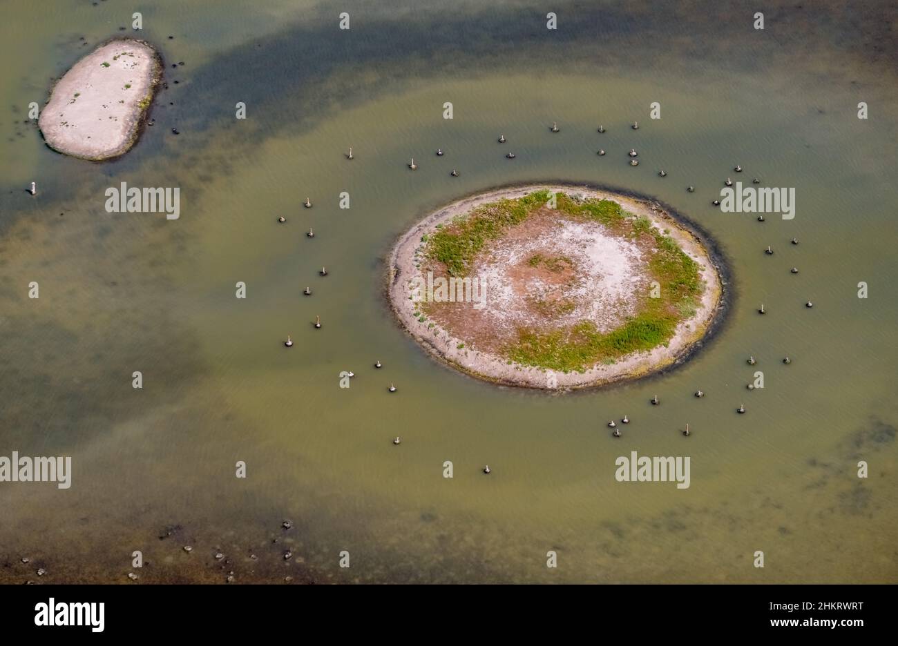 Vista aerea, Llacuna de sa Barcassa, isola con vista degli uccelli e acqua caratteristica, Alcúdia, Maiorca, Isole Baleari, Spagna, Es, Europa, aereo pho Foto Stock