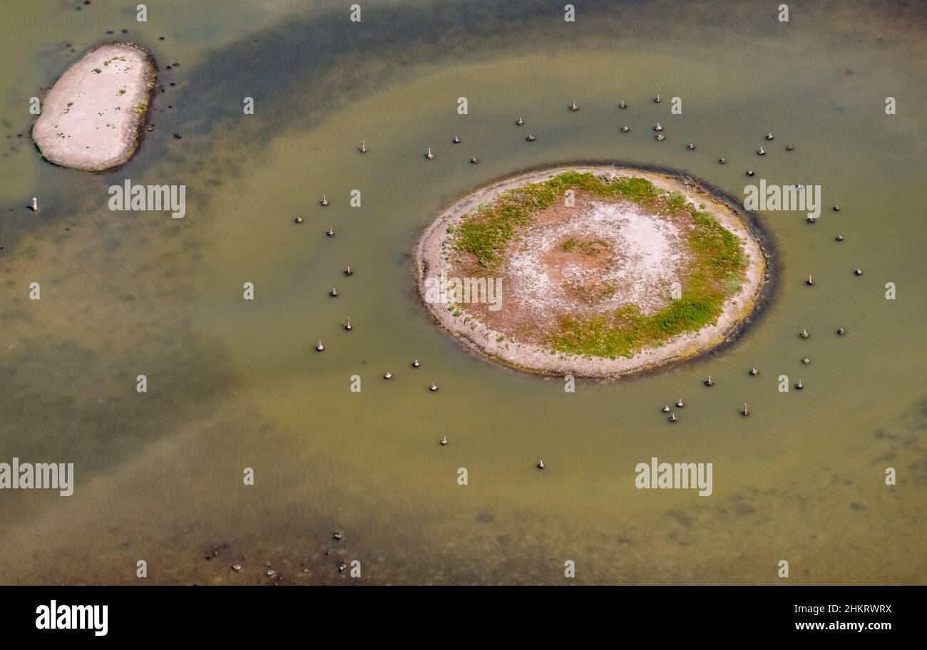 Vista aerea, Llacuna de sa Barcassa, isola con vista degli uccelli e acqua caratteristica, Alcúdia, Maiorca, Isole Baleari, Spagna, Es, Europa, aereo pho Foto Stock