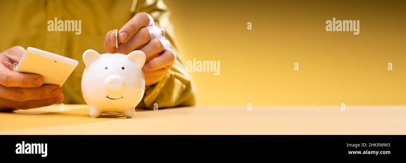 Consulente finanziario con Piggybank. Calcolo del risparmio di denaro Foto Stock