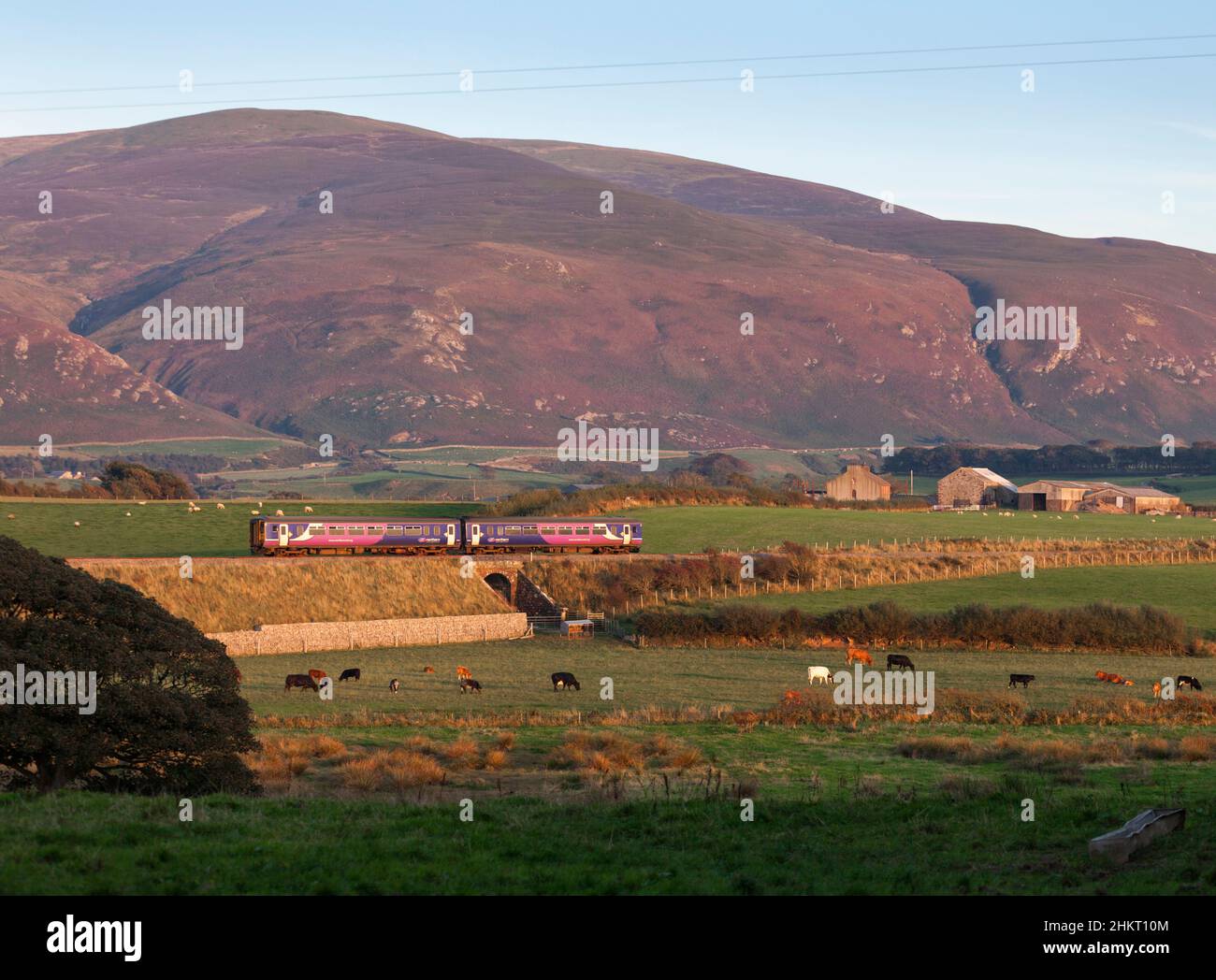 Northern Rail classe 156 treno Sprinter passando per Gutterby sulla panoramica linea ferroviaria della costa Cumbria Foto Stock