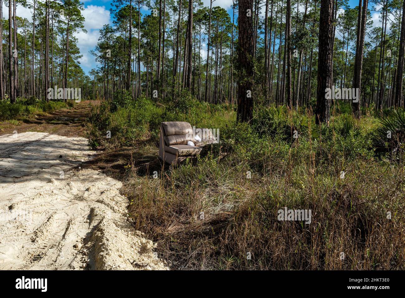 Un divano abbandonato lasciato accanto a una strada sterrata in un Tiger Bay state Park, Florida, USA. Foto Stock