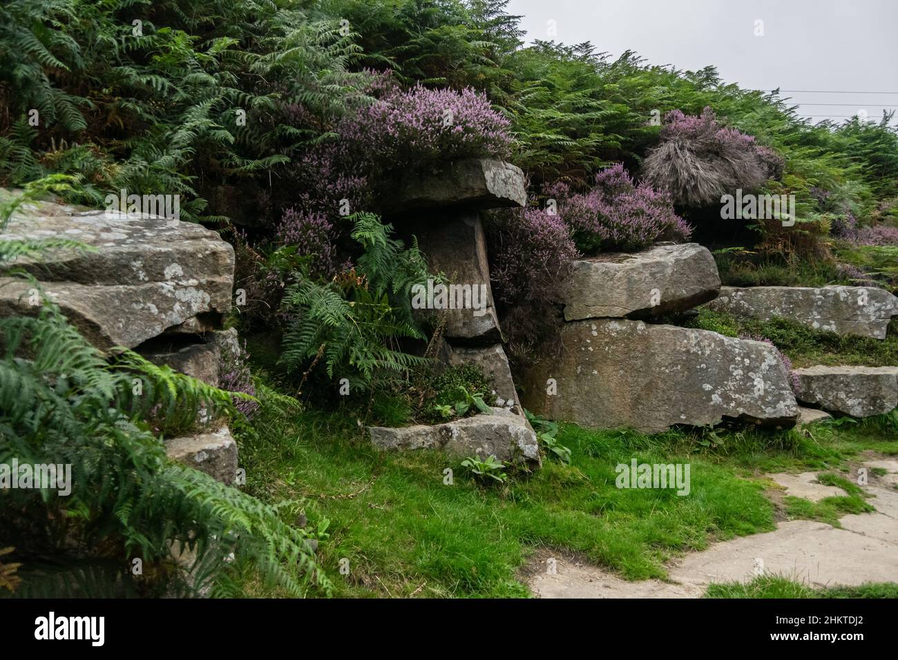 Alta formazione rocciosa coltivata con felci e fiori fogliame, rocce antiche vicino al sentiero Foto Stock