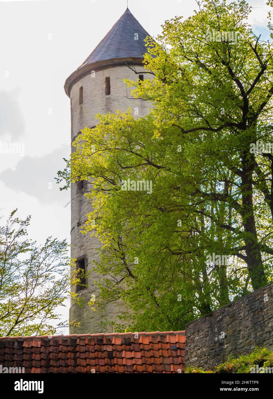 Torre difensiva delle rovine medievali del castello di Plesseburg a Bovenden, Germania Foto Stock