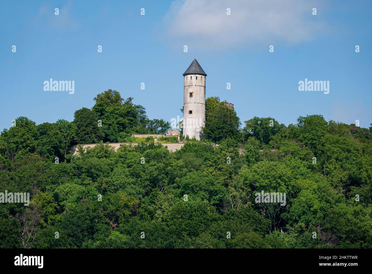 Castello medievale rovine Plesseburg in una giornata estiva circondato da foresta. Bovenden Foto Stock