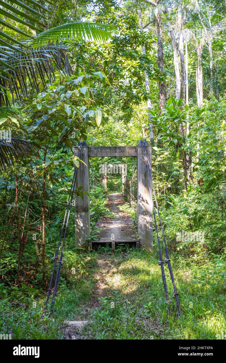 Escursione tra Puerto Nariño e la comunità indigena Tikuna a Saint martin, Leticia, Amazonia, Colombia Foto Stock