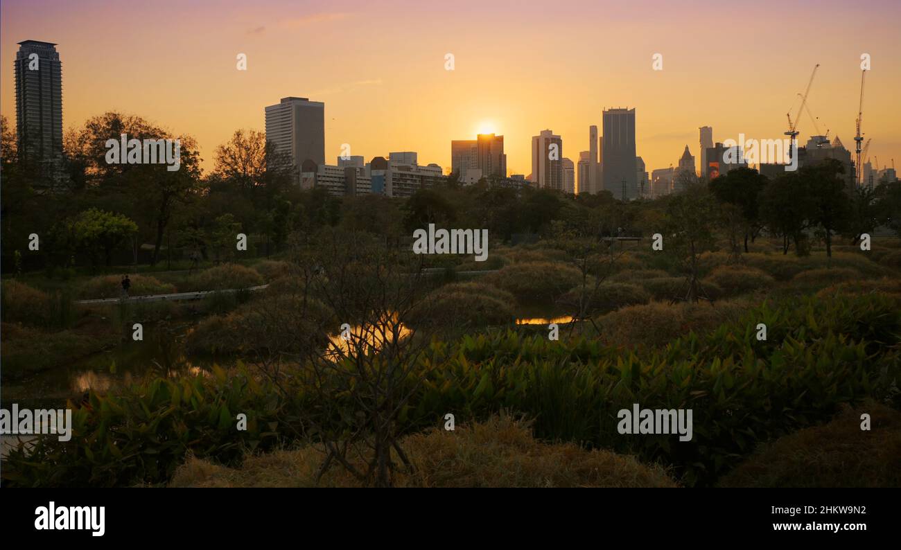 Parco pubblico con lago e alberi verdi con grattacieli edifici in città sullo sfondo e al tramonto. Foto Stock