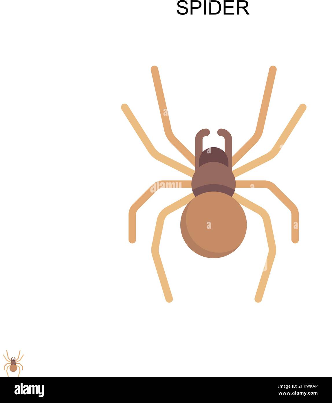 Icona vettore ragno semplice. Modello di disegno del simbolo di illustrazione per l'elemento dell'interfaccia utente mobile Web. Illustrazione Vettoriale