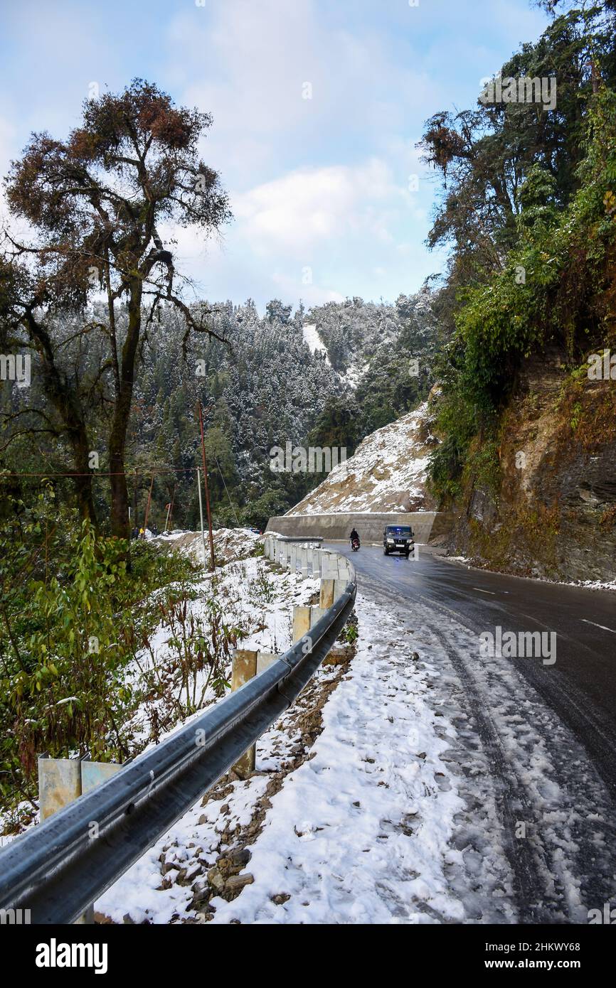 Strade innevate e pinete sulla strada per Lava, Kalimpong Foto Stock