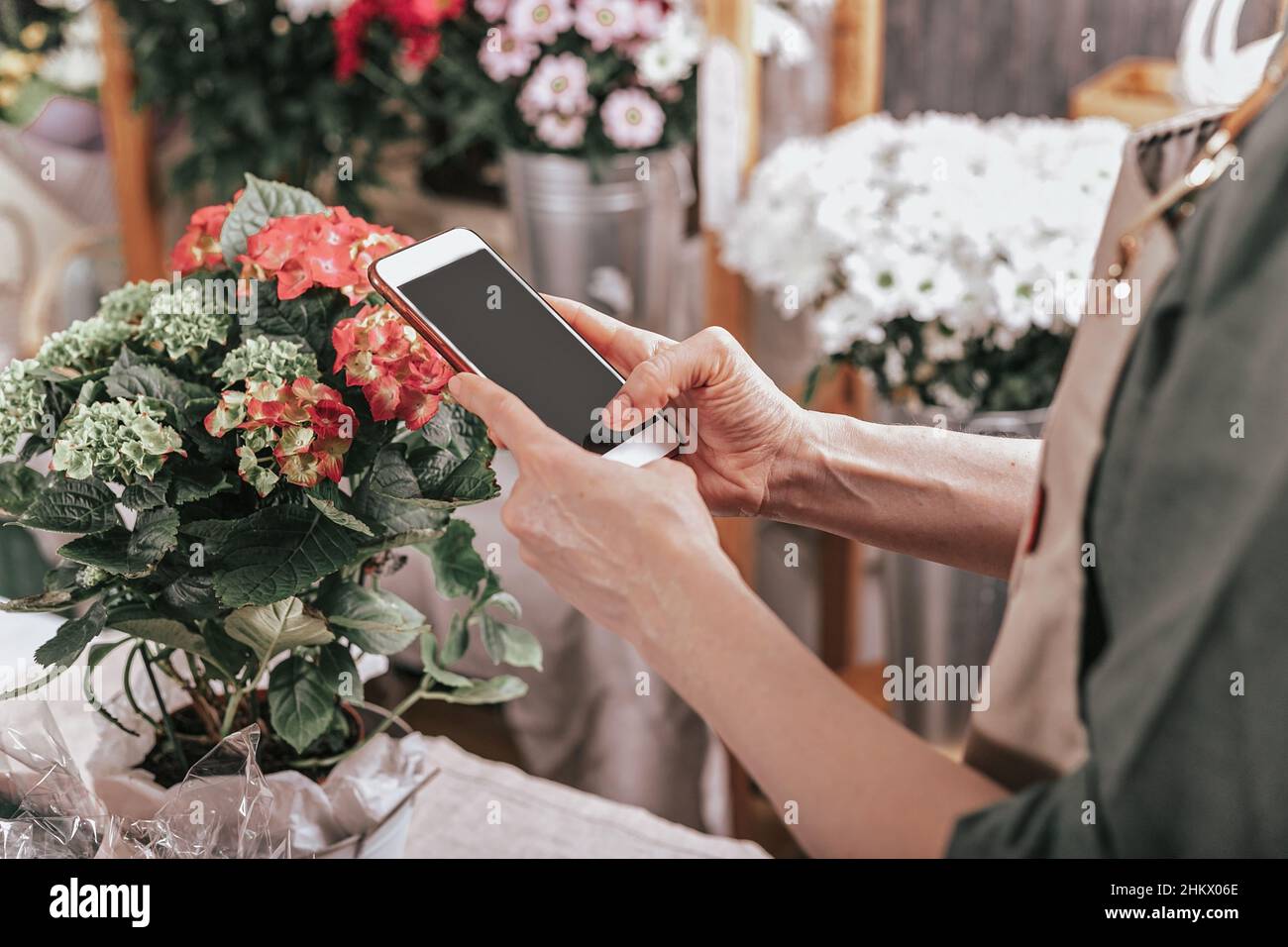 Le mani del fiorista stanno tenendo uno smartphone. Il fiorista accetta un ordine utilizzando le tecnologie Internet. Luogo di lavoro di un fiorista. Concetto di piccola impresa Foto Stock