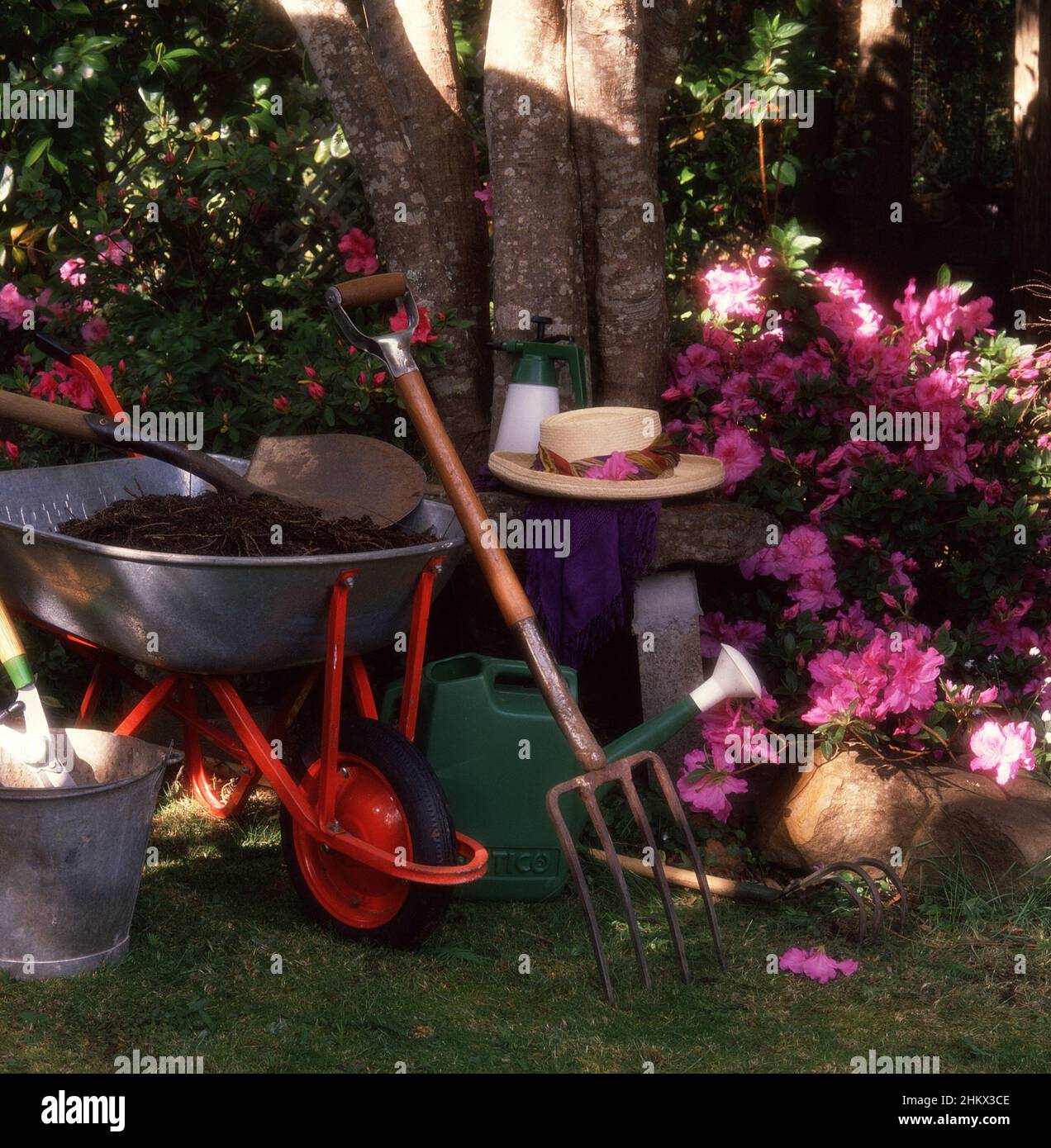 ATTREZZI ASSORTITI DI GIARDINAGGIO Foto Stock