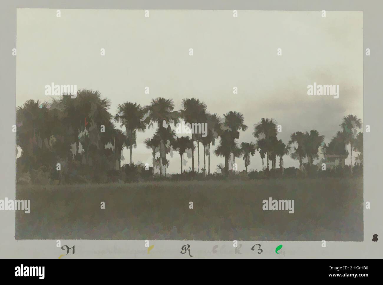 Arte ispirata alle palme Mauritius Repubblica-Berlino, una fila di palme mauritius (lungo una strada) tra i luoghi Repubblica e Berlino. Parte dell'album fotografico souvenir de Voyage (parte 3), circa la vita della famiglia Doijer dentro e intorno alla piantagione ma Retraite in Suriname negli anni, opere classiche modernizzate da Artotop con un tuffo di modernità. Forme, colore e valore, impatto visivo accattivante sulle emozioni artistiche attraverso la libertà delle opere d'arte in modo contemporaneo. Un messaggio senza tempo che persegue una nuova direzione selvaggiamente creativa. Artisti che si rivolgono al supporto digitale e creano l'NFT Artotop Foto Stock