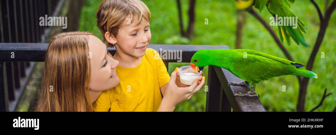 Mamma e figlio nutrono il pappagallo nel parco. Passare il tempo con i ragazzi concept BANNER, FORMATO LUNGO Foto Stock