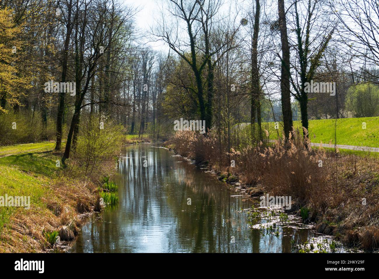 Rheinniederungs Kanal Landschaft bei Iffezheim Foto Stock