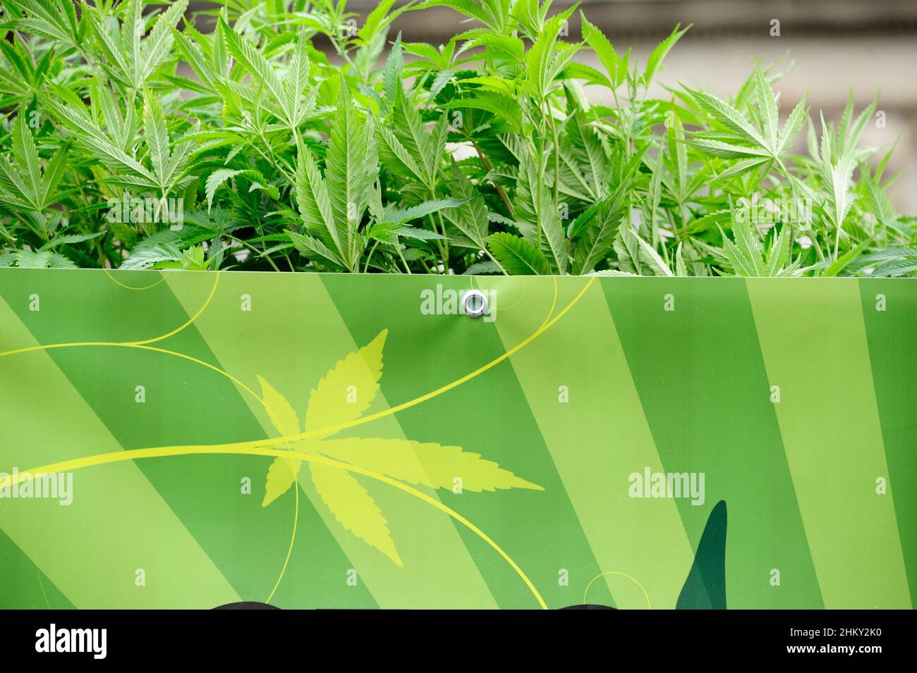 Vienna, Austria. 03 maggio 2014. Sfilata di cannabis a Vienna Foto Stock