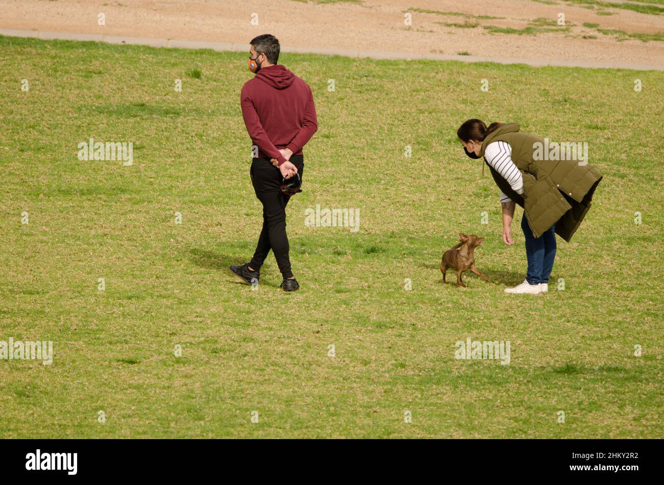 Coppia che gioca con il loro cane nel parco. La Ballena. Las Palmas de Gran Canaria. Gran Canaria. Isole Canarie. Spagna. Foto Stock