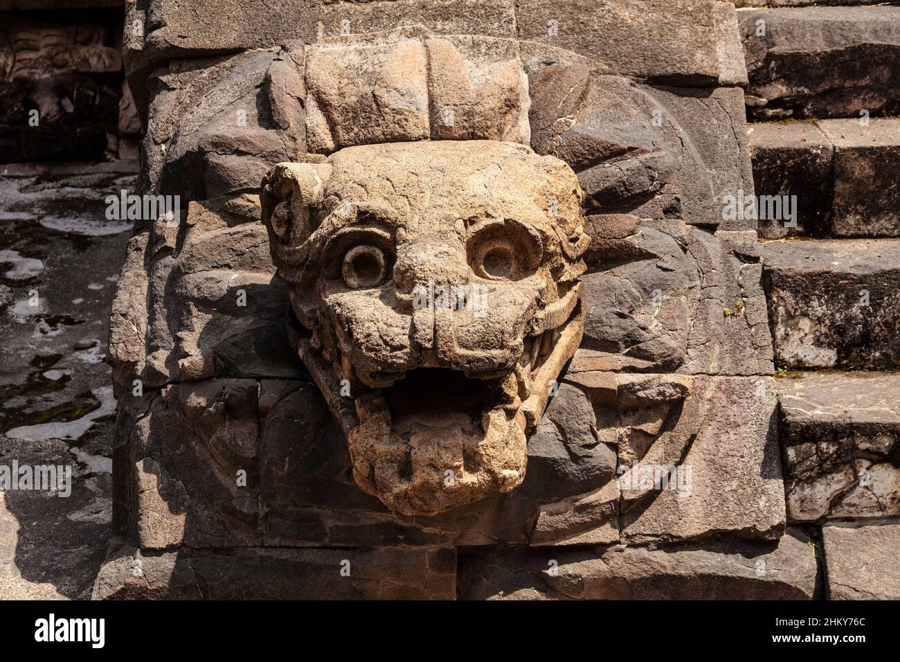 Serpente sfumato, rilievo sulla facciata del Tempio di Quetzalcoatl, Teotihuacan. Anahuac, Città del Messico. Nord America Foto Stock