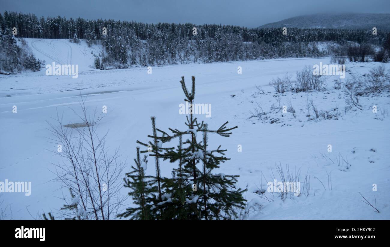 Inverno nel nord della Svezia, cuore di Vidsel Foto Stock