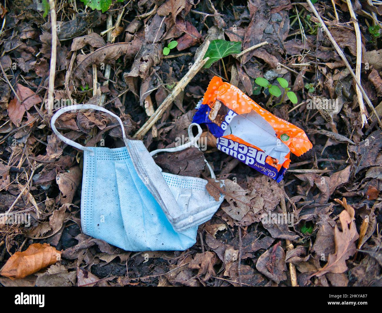 Una maschera di plastica blu scartata e un involucro di barra di cioccolato contro le foglie cadute in una zona rurale in inverno nel Regno Unito. Foto Stock