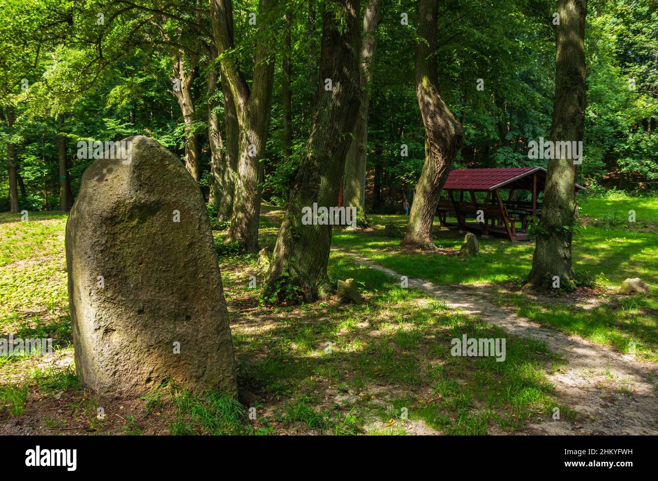 Il paesaggio naturale incontaminato del Tiefental (bassa valle) lungo il fiume Pulsnitz tra Reichenau e Königsbrück in Sassonia, Germania, Europa. Foto Stock