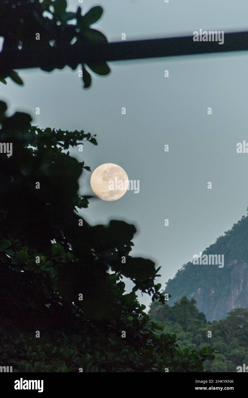 Moonset con silhouette di alberi nel quartiere di Copacabana Rio de Janeiro, Brasile. Foto Stock