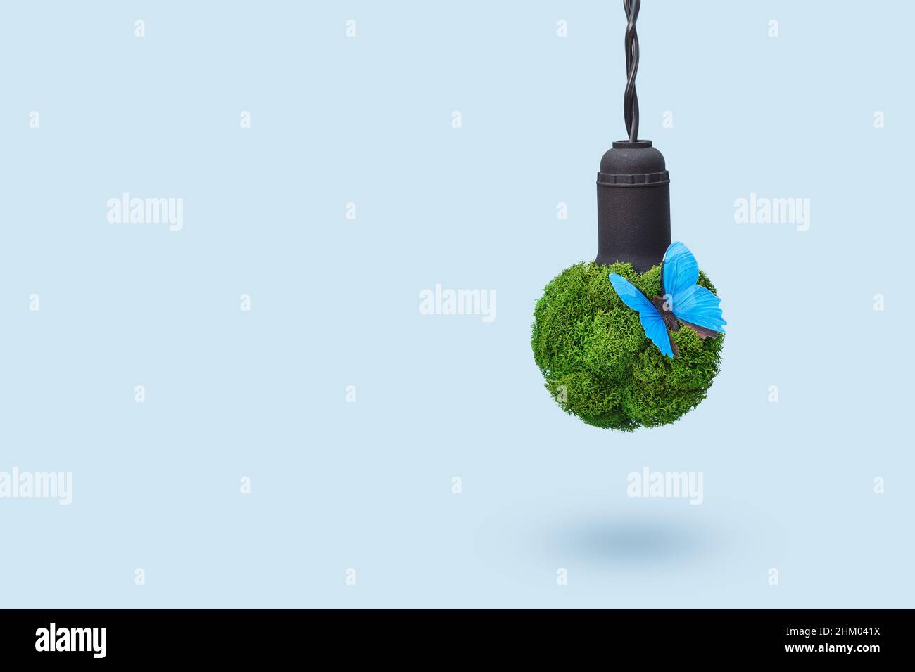 Concetto di energia verde. Lampadina a bulbo realizzata con piante verdi con farfalla blu come simbolo di natura pura senza rifiuti inquinanti. Foto Stock