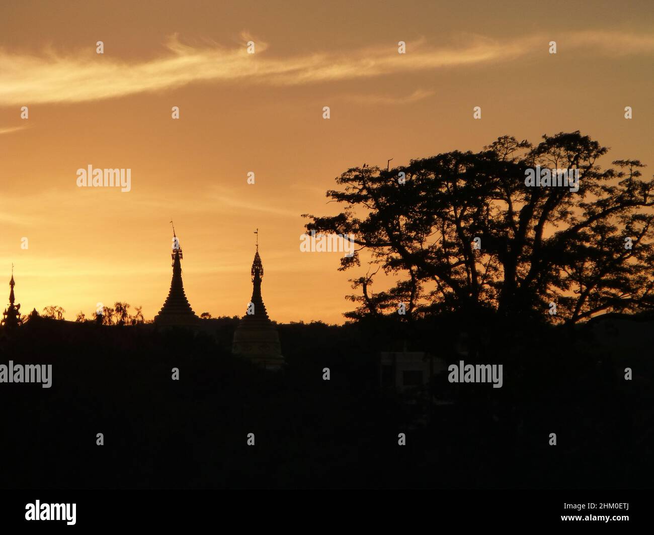 Myanmar Birmania - bella scena durante il tramonto in ombra con un albero in thr davanti e due stupa nella parte posteriore Foto Stock